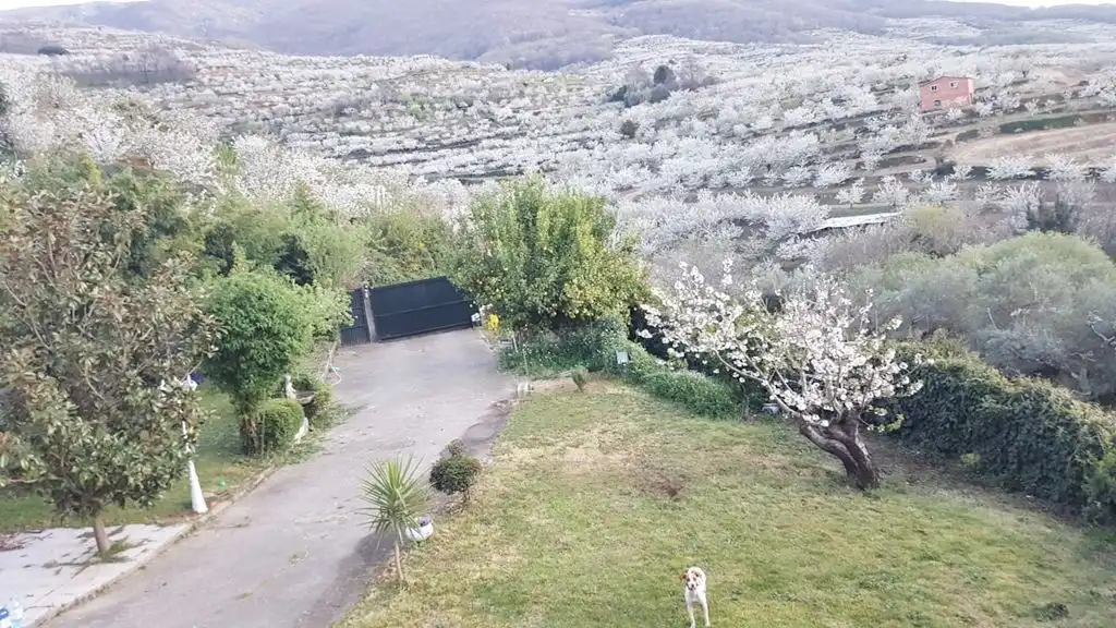 Haus mit Garten zum Verkauf in calle cabezuela, imagen 20