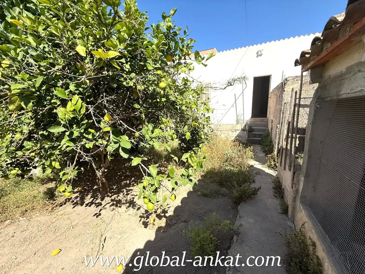 Exterior view of Garage for sale in Felanitx