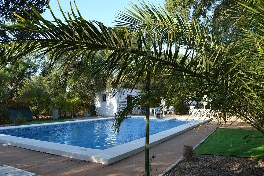 Casa rústica amb piscina en venda a Arcos de la Frontera