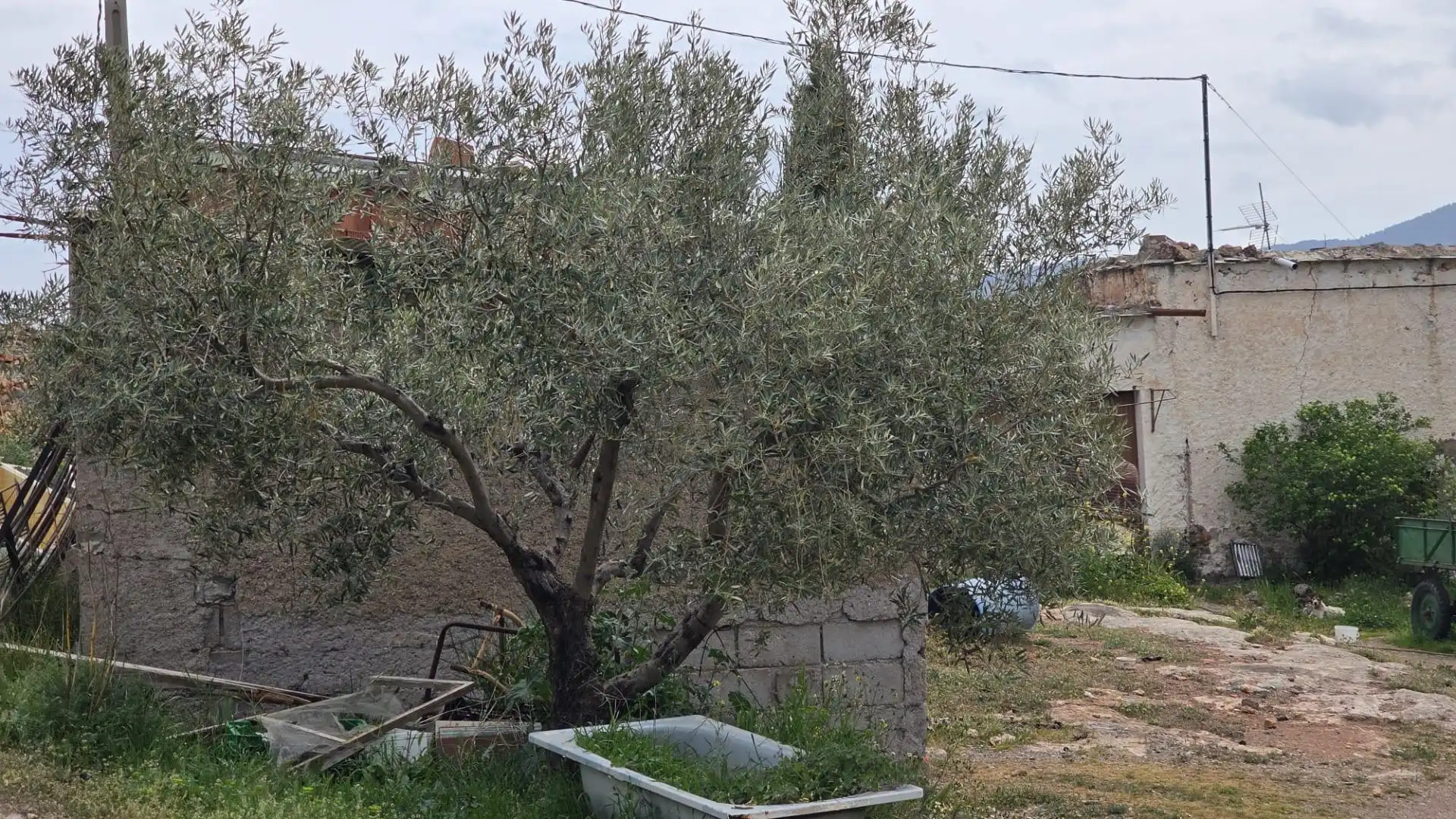 Garden of Country homes for sale in Laujar de Andarax