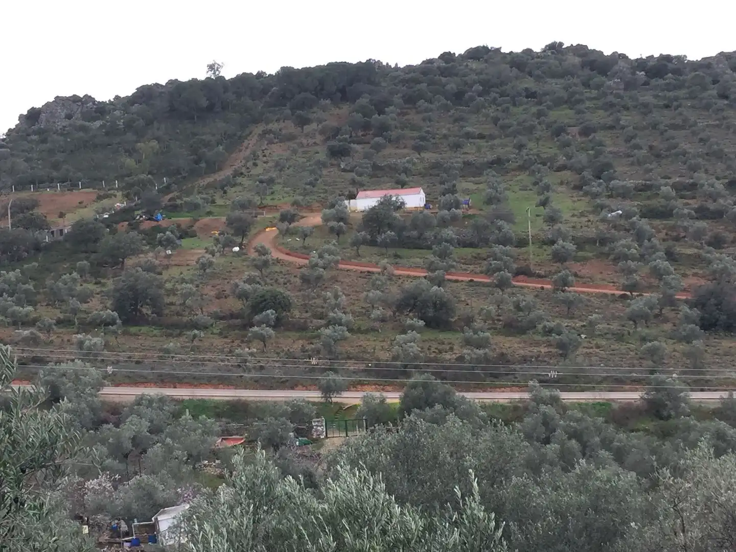 Lands and plots for sale in Castuera