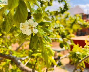 Garden of House or chalet for sale in Càlig  with Heating, Private garden and Terrace