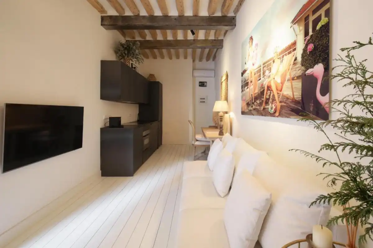 Sala d'estar de Apartament de lloguer en Madrid amb Aire condicionat, Moblat i Es permeten mascotes