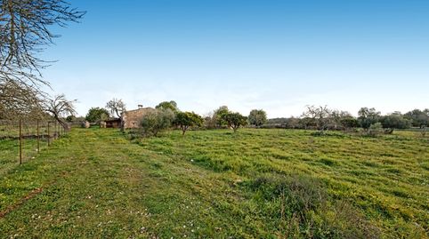 Finca rústica en venta en Maria de la Salut, Mallorca, imatge 3
