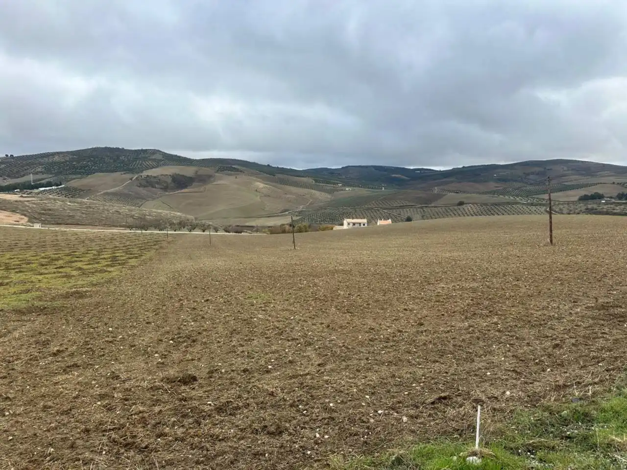 Terreni e lotti in vendita a Alhama de Granada, imagen 6