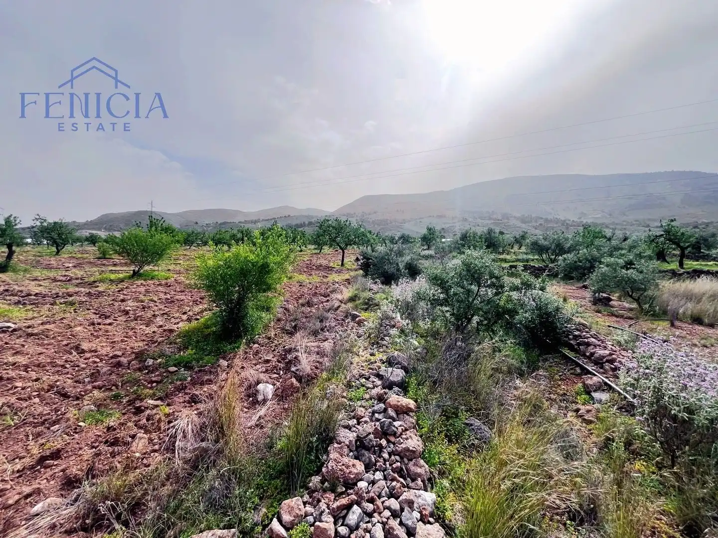 Terreny rústic en venda a Vélez de Benaudalla, imagen 4