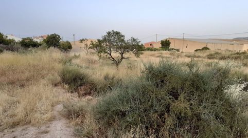PARCELA EN HUITAR MAYOR, OLULA DEL RÍO, ALMERÍA., imatge 5