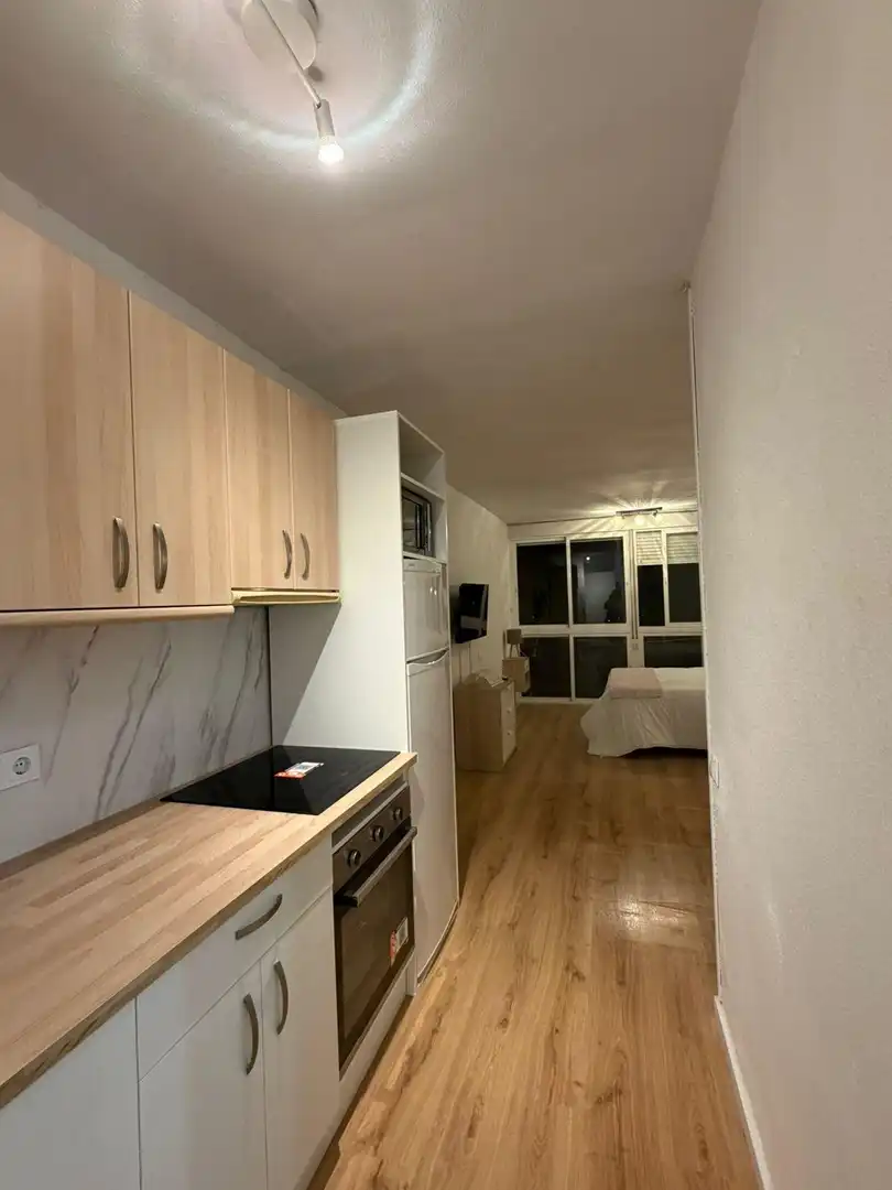 Cuina de Estudi de lloguer en Rincón de la Victoria amb Aire condicionat, Jardí privat i Moblat