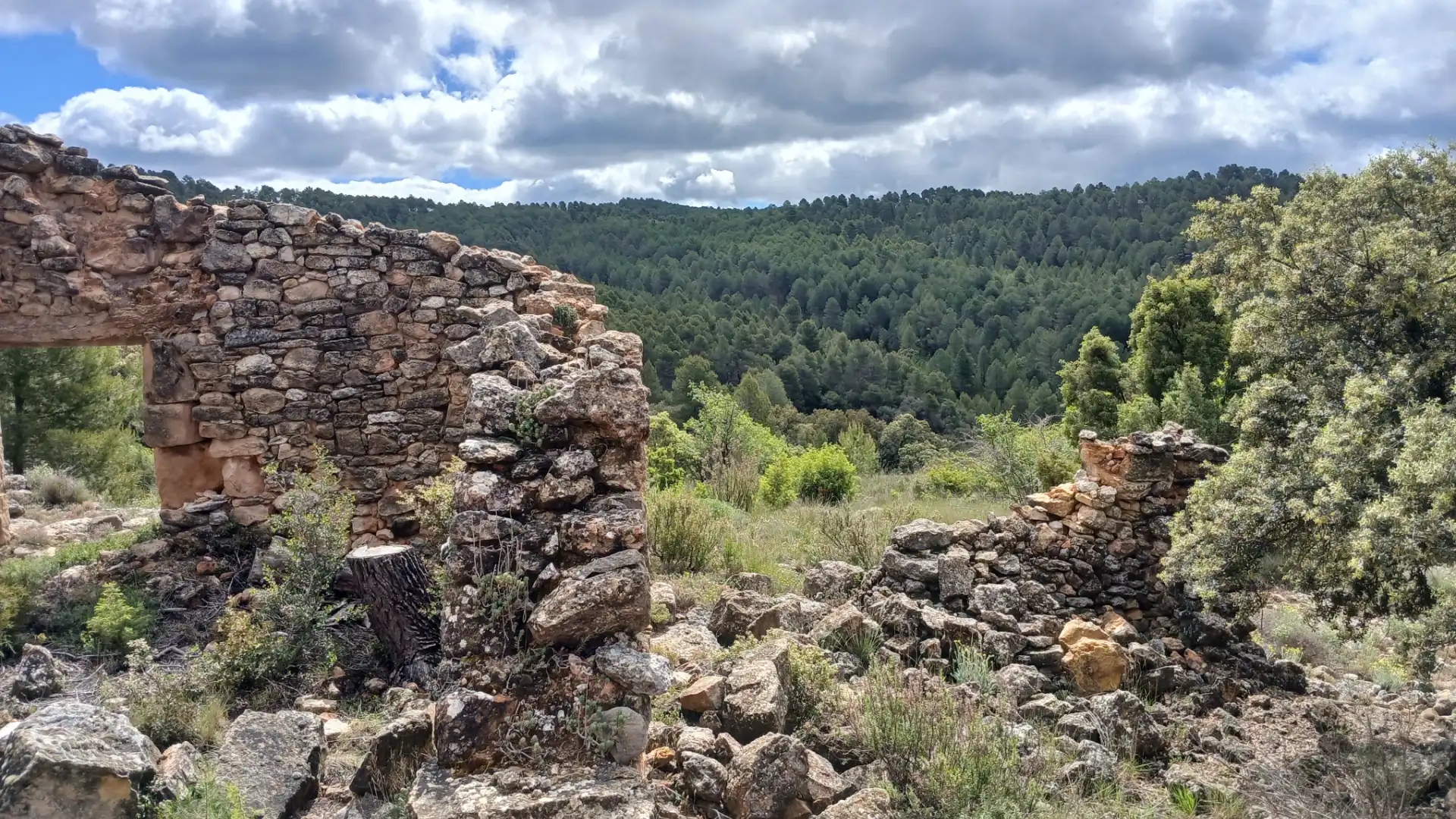 Grundstücke zum Verkauf in La Cerollera