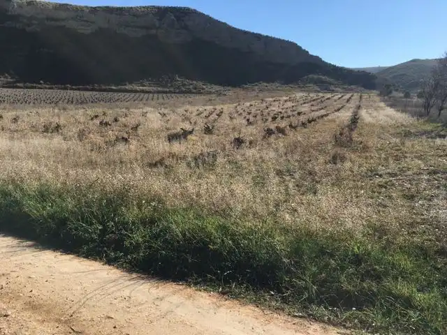 Rural land for sale in Calle San Sebastián, imagen 4