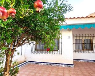 Jardí de Casa adosada en venda en La Manga del Mar Menor amb Aire condicionat i Terrassa