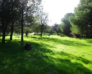 Finca rústica en venda en Castilblanco de los Arroyos amb Aire condicionat, Calefacció i Jardí privat