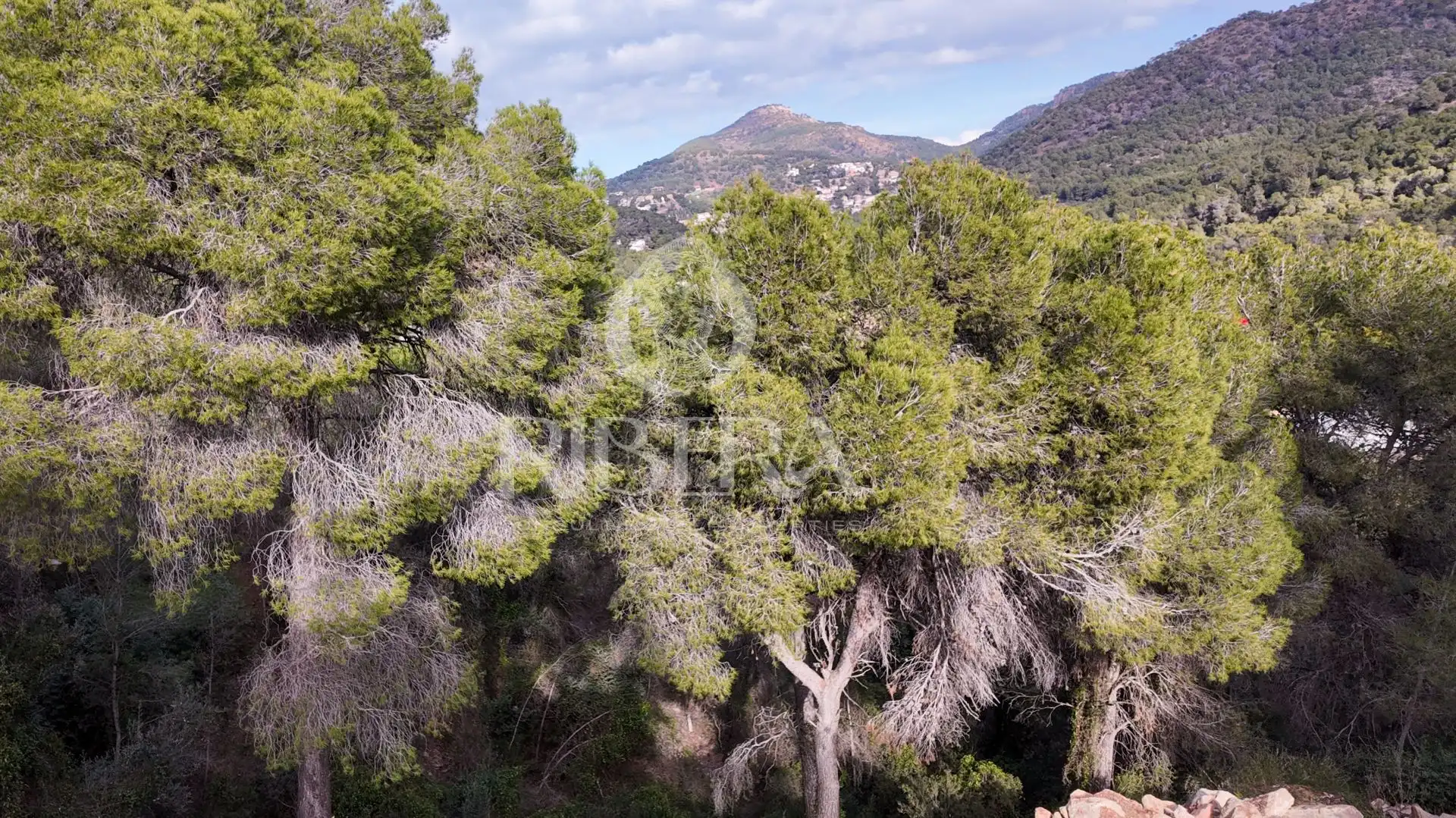 Lands and plots for sale in Urbanización Monteamor, imagen 11