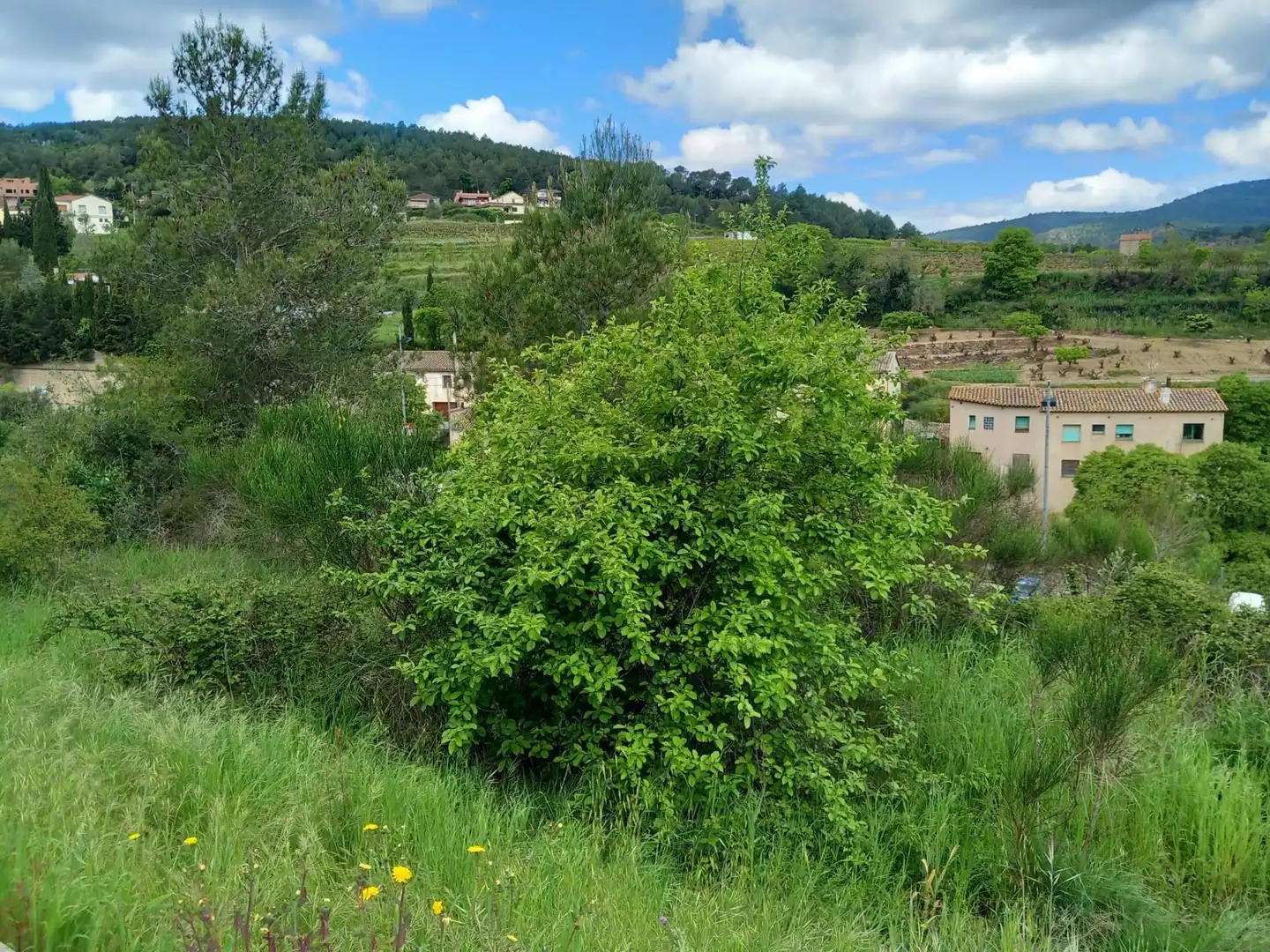 Residential land for sale in Pontons, imagen 19