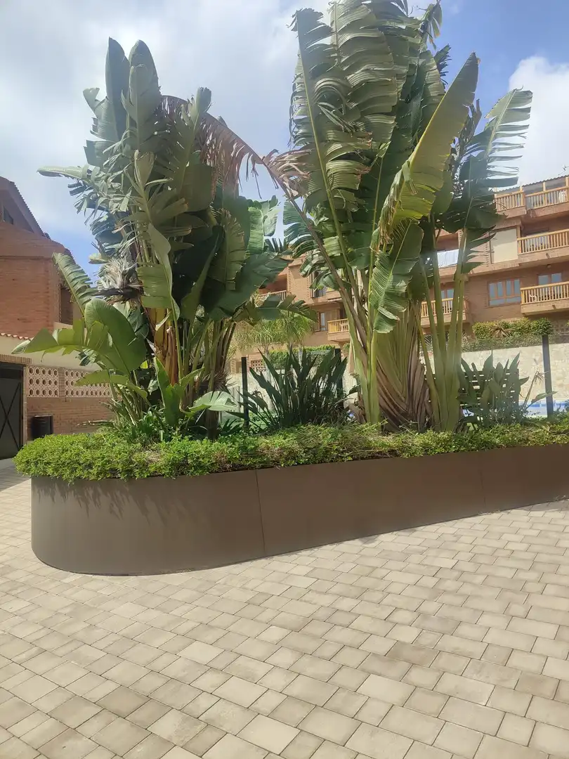 Adossat amb terrassa en venda a Playa de San Juan - El Cabo de las Huertas, imagen 35