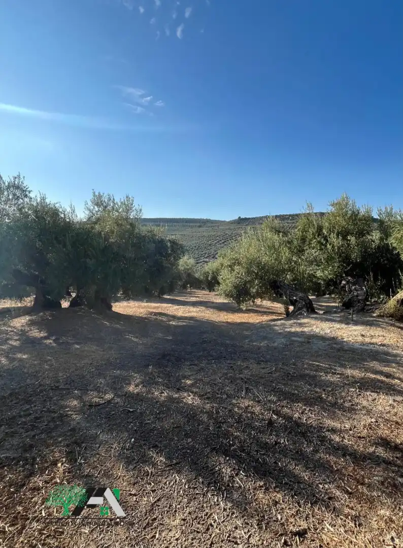 Terreno industrial en venta en Úbeda, imagen 10