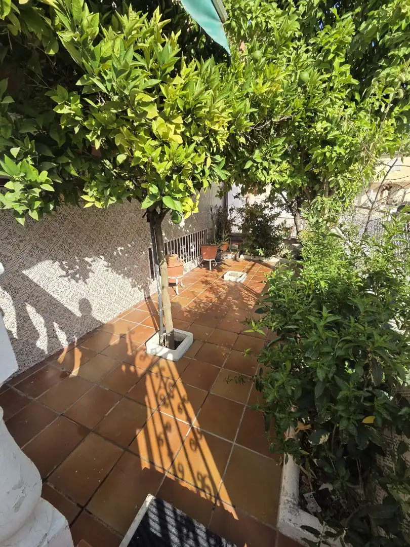 Maison avec terrasse à vendre à Calle Atochar, imagen 38