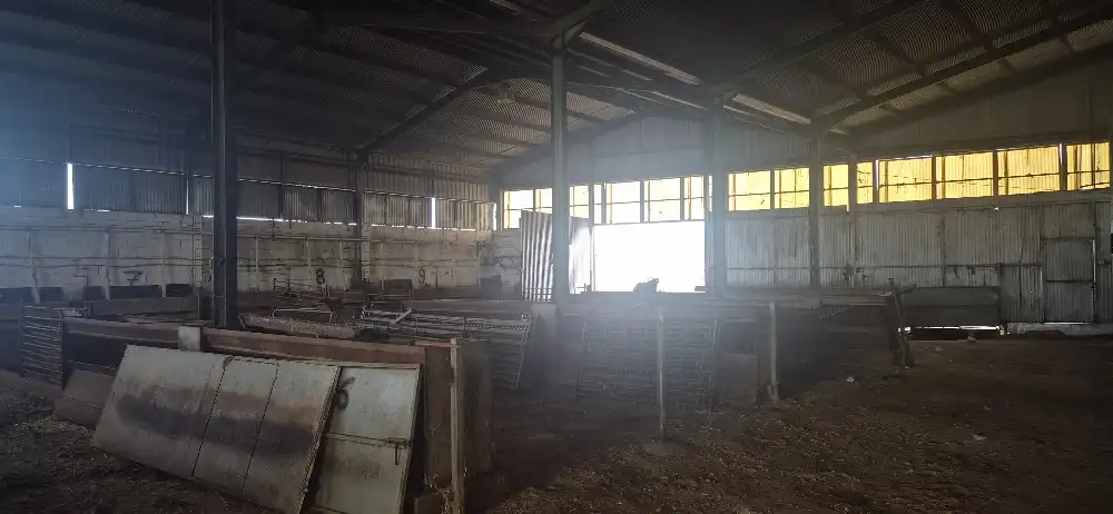 Industrial buildings for sale in Minaya