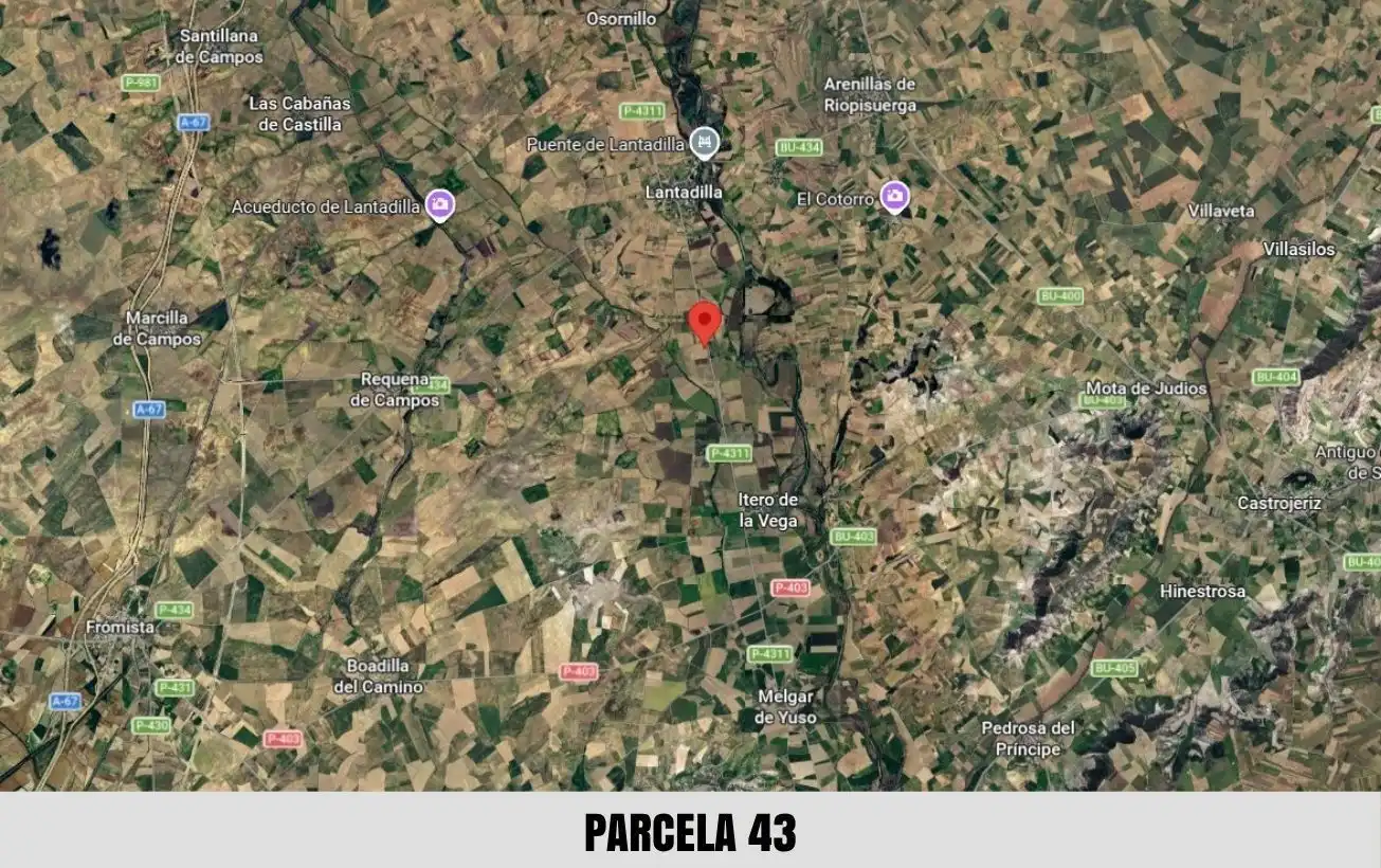 Terreno en venta en Palacios de Riopisuerga