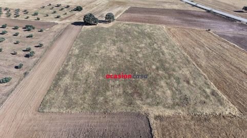 PARCELA DE SIEMBRA A LA VENTA EN VALSEQUILLO