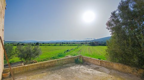 Terreno de 30.000 m2, casa para reformar y proyecto, imatge 4