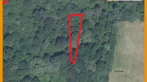 Se venden 3 Fincas rústicas en el entorno de Maceda, immagine 5