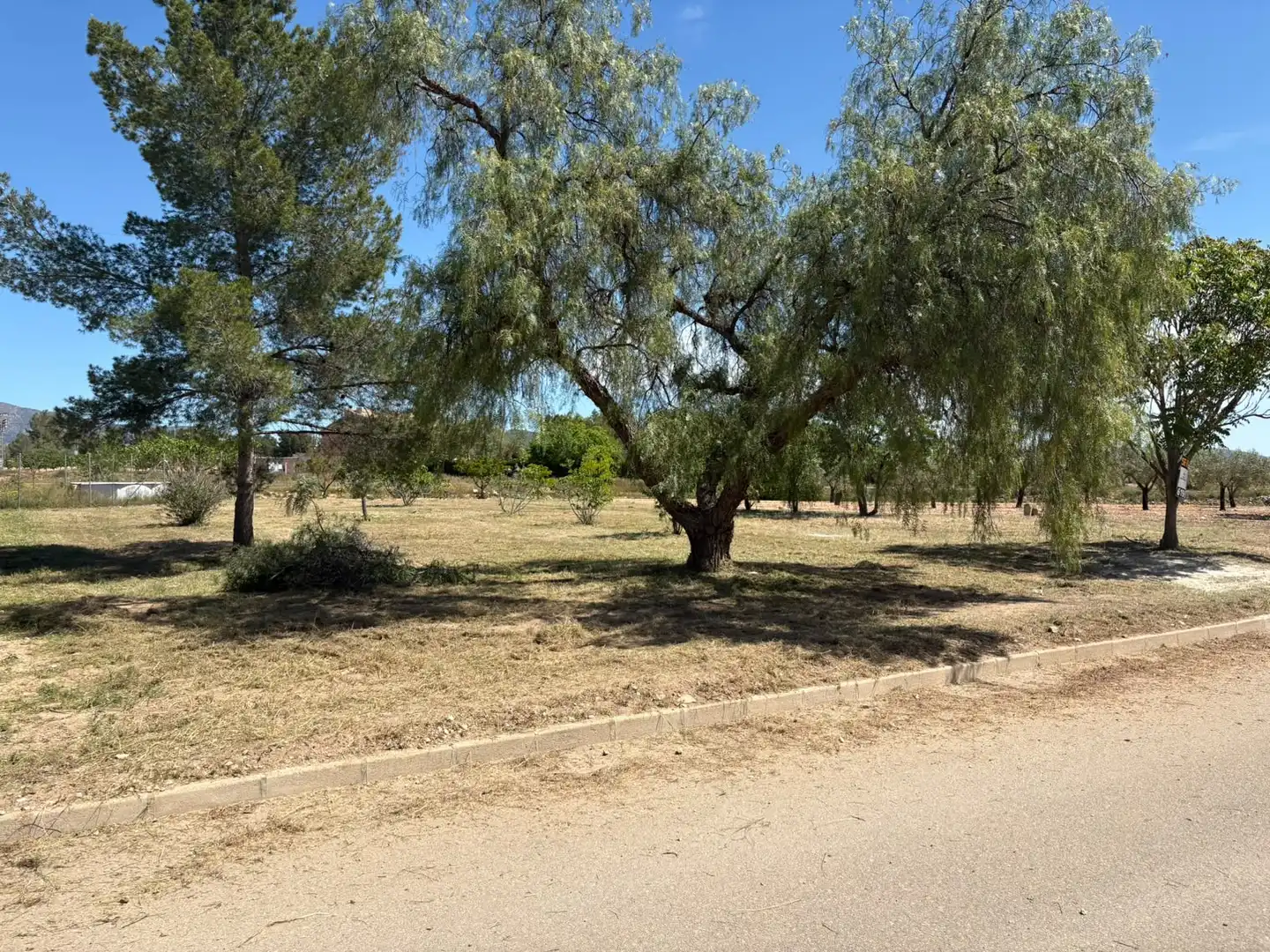 Residential land for sale in El Pinós / Pinoso