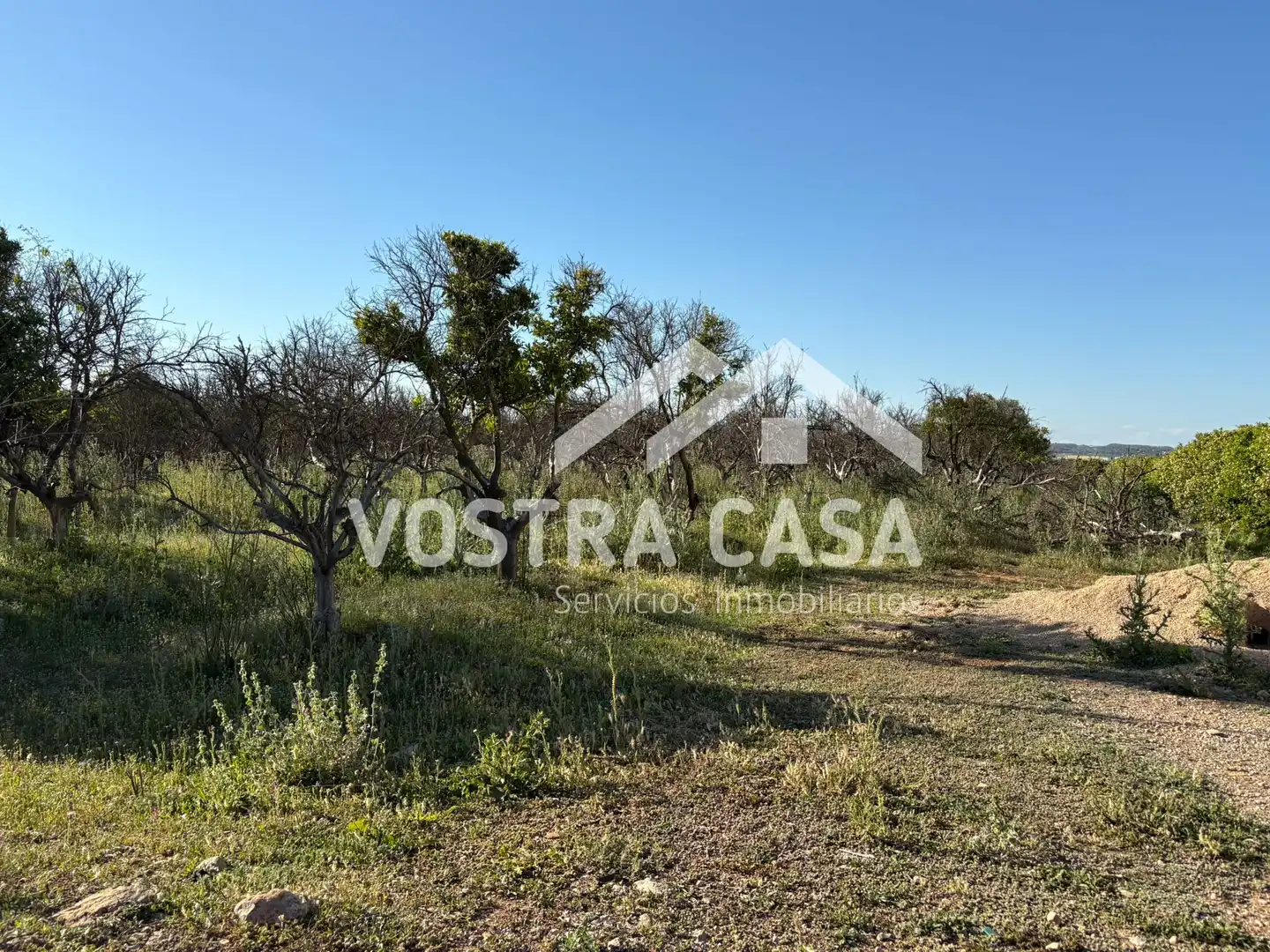 Land for sale in Chiva
