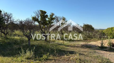 Photo 3 of Land for sale in 20, -1, La Loma, Chiva