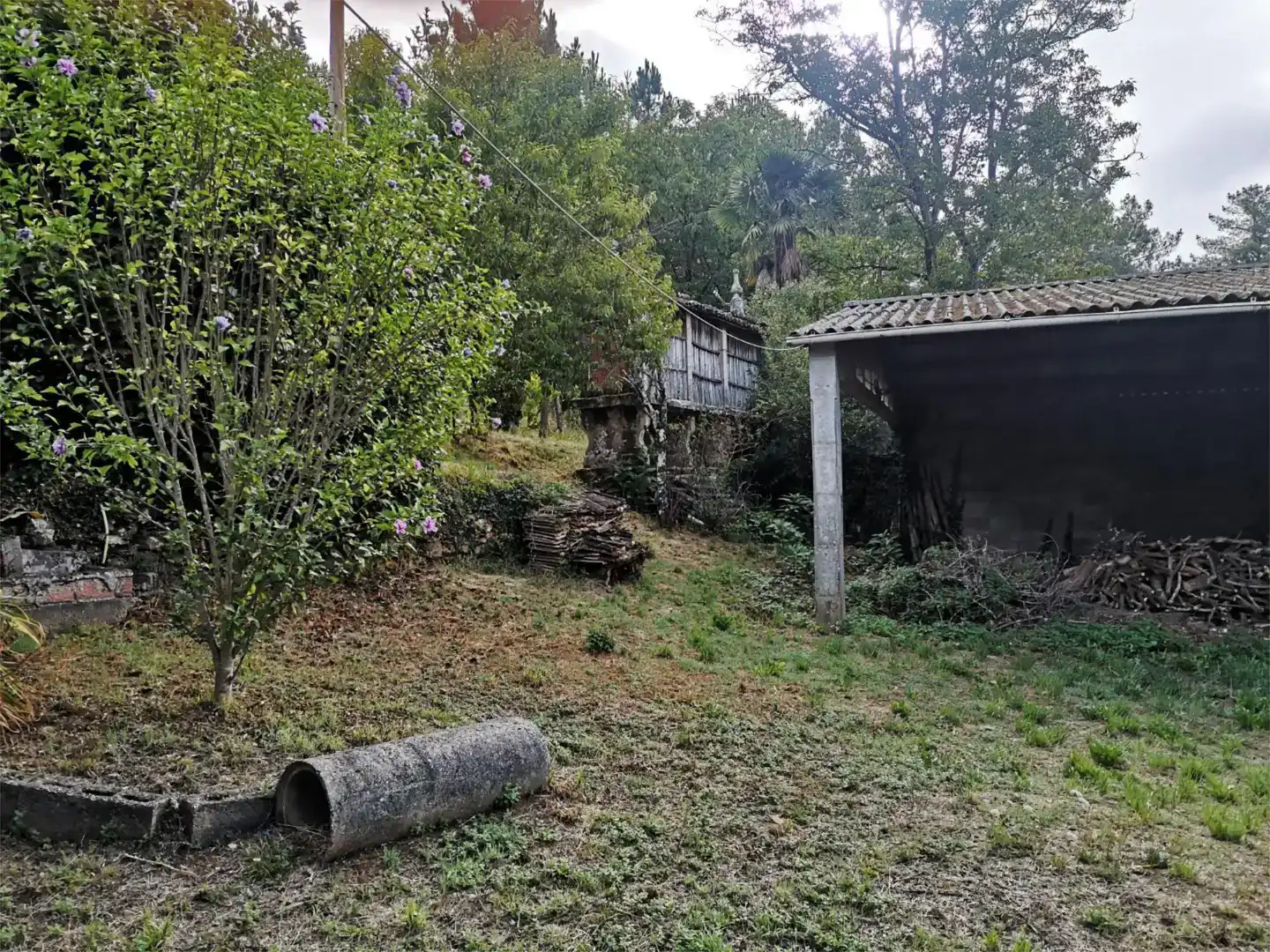 Finca rústica en venda en Vila de Cruces