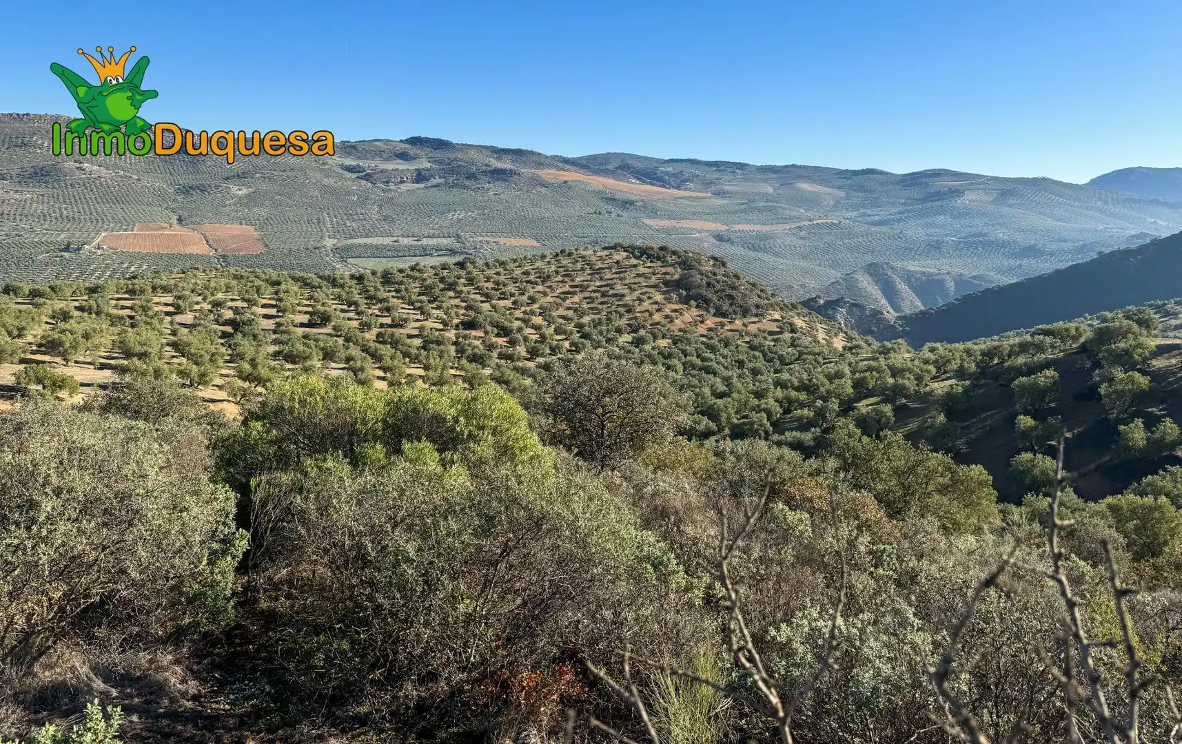 Casa rústica en venda a Camino Polígono 3 Parcela 51 MORA. LOJA (GRANADA) 3, imagen 25