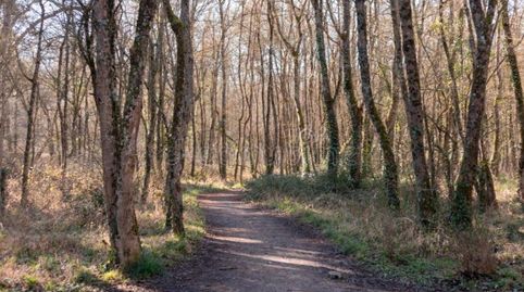 Photo 2 of Residential for sale in Calle Calle Hospitaleros, Mendizorrotza - Armentia, Vitoria - Gasteiz