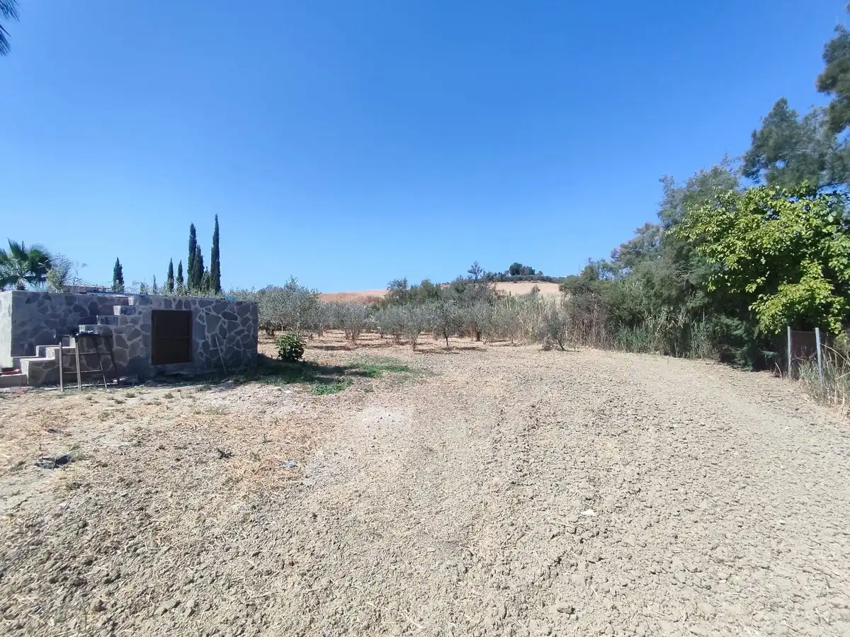 Haus mit Pool zum Verkauf in Carretera de la Dehesa Alta, imagen 8