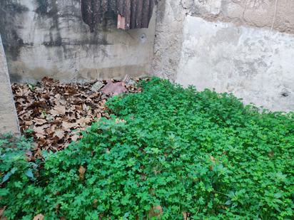 Casa o xalet en venda en Gandia