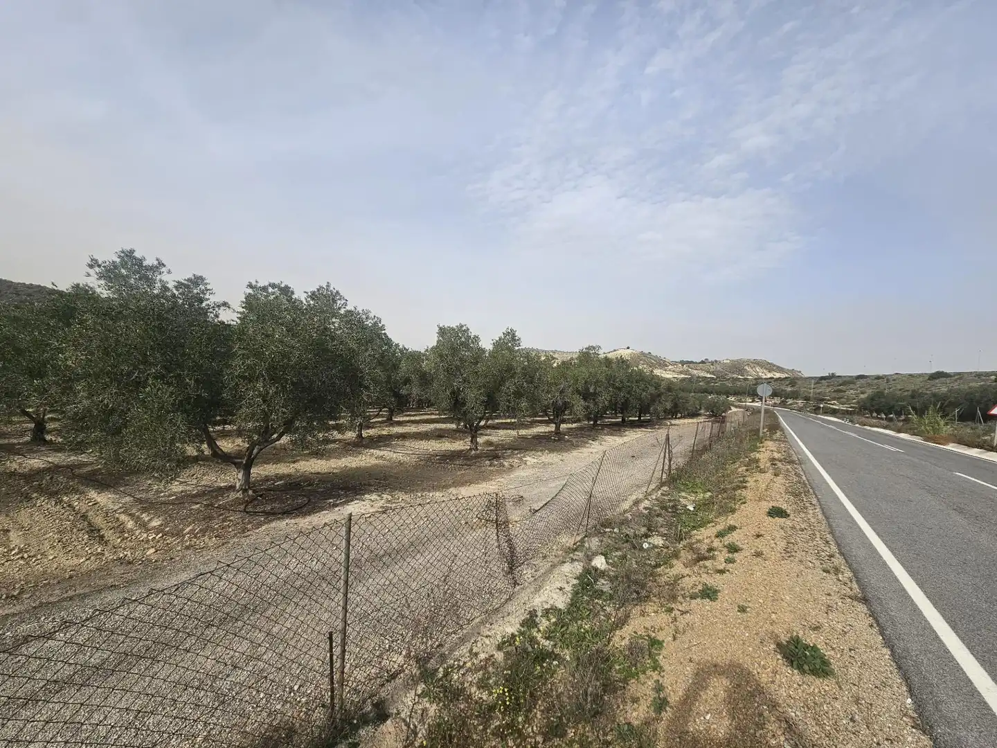 Rural land for sale in Desamparados - Hurchillo - Torremendo, imagen 13