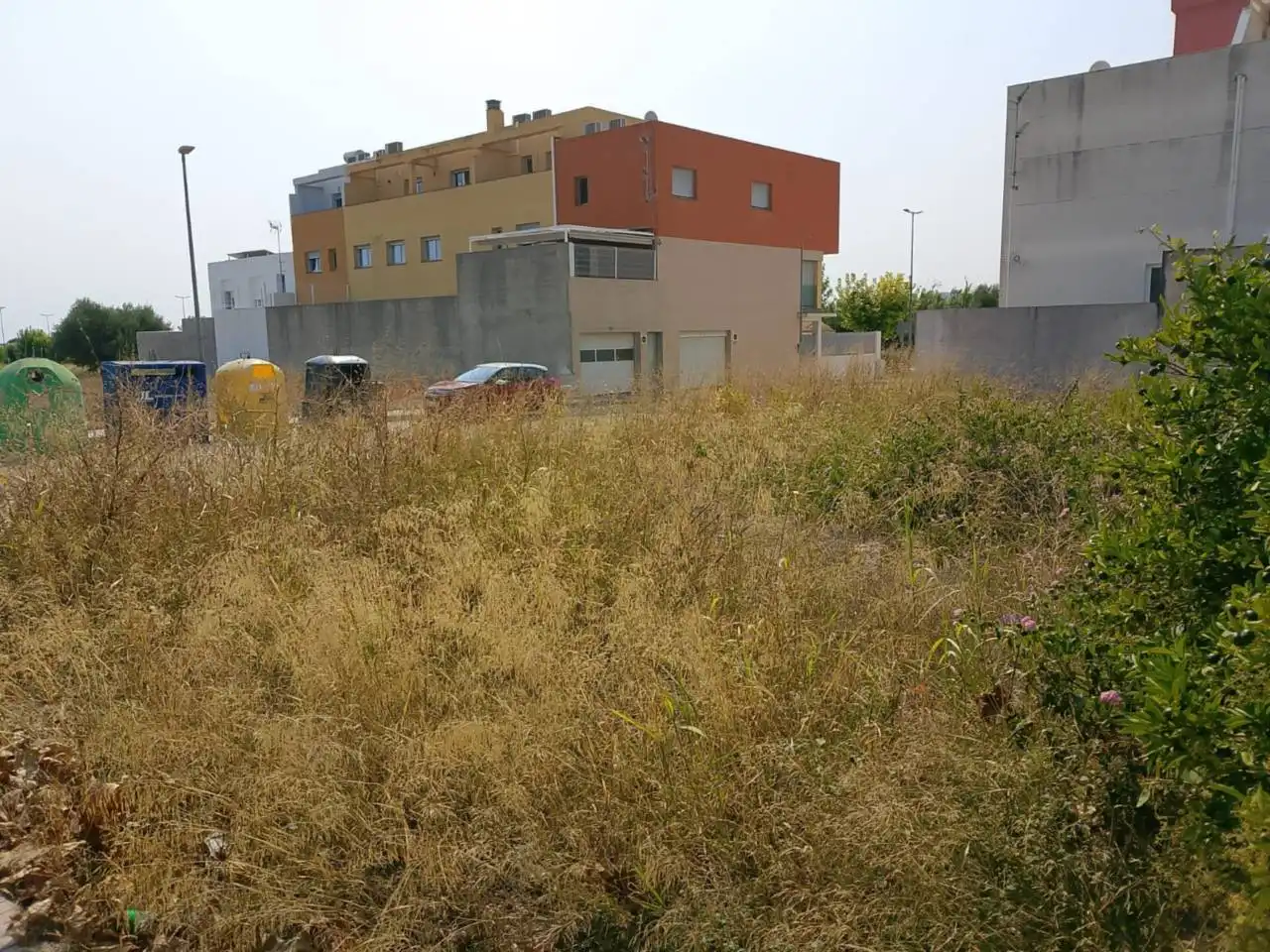 Land for sale in Calle Botánico Cabanilles, Piles