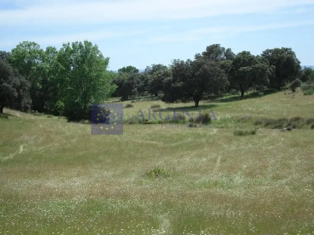 Maison à vendre à Poligono 11 Paraje 59 Cañada, imagen 5