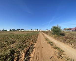 Residential for sale in Chipiona