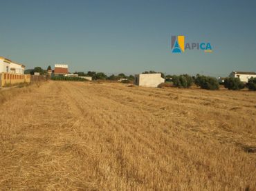 Rustikales Grundstück zum Verkauf in El Palmar