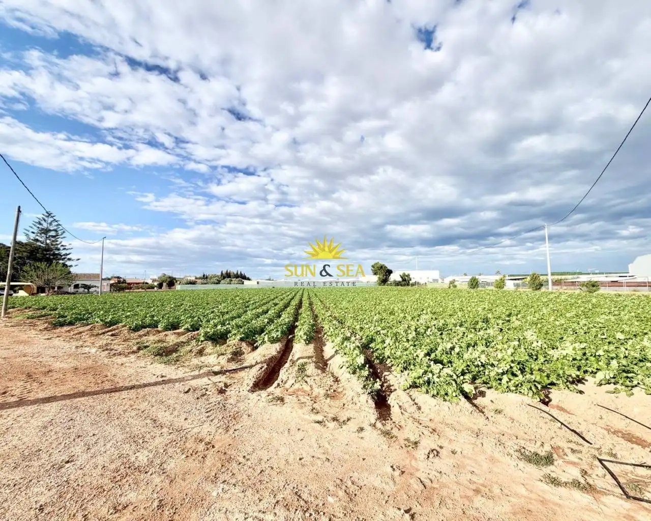 Casa con piscina en venta en San Pedro del Pinatar, imagen 48