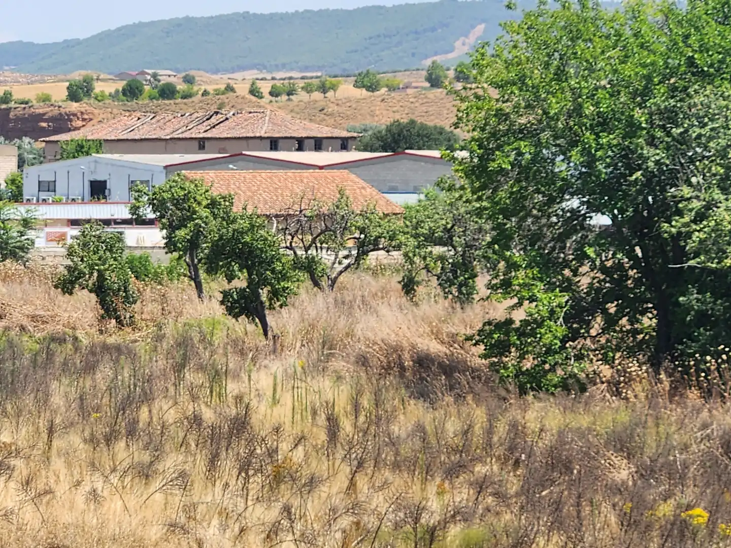 Terreno residenziale in vendita a Marchamalo, imagen 31