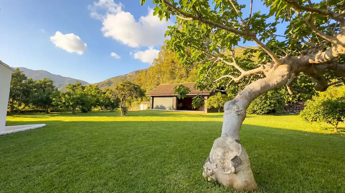 Jardí de Finca rústica en venda en Alhaurín El Grande amb Aire condicionat, Jardí privat i Terrassa
