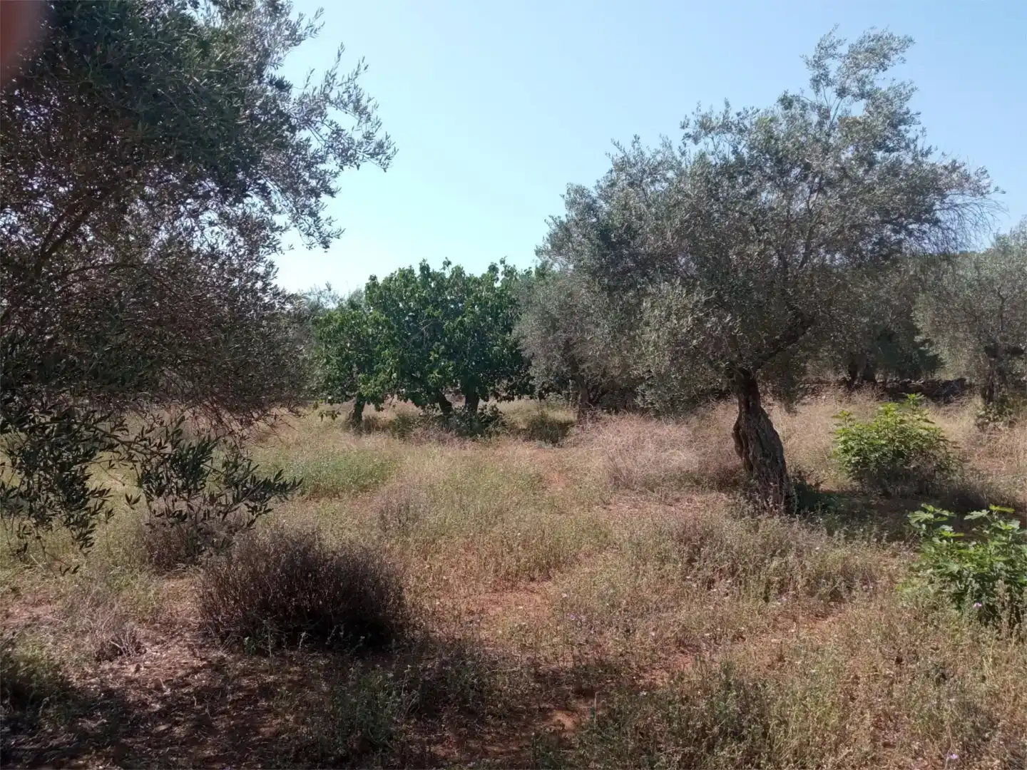 Finca rústica en venda en Corteconcepción amb Jardí privat