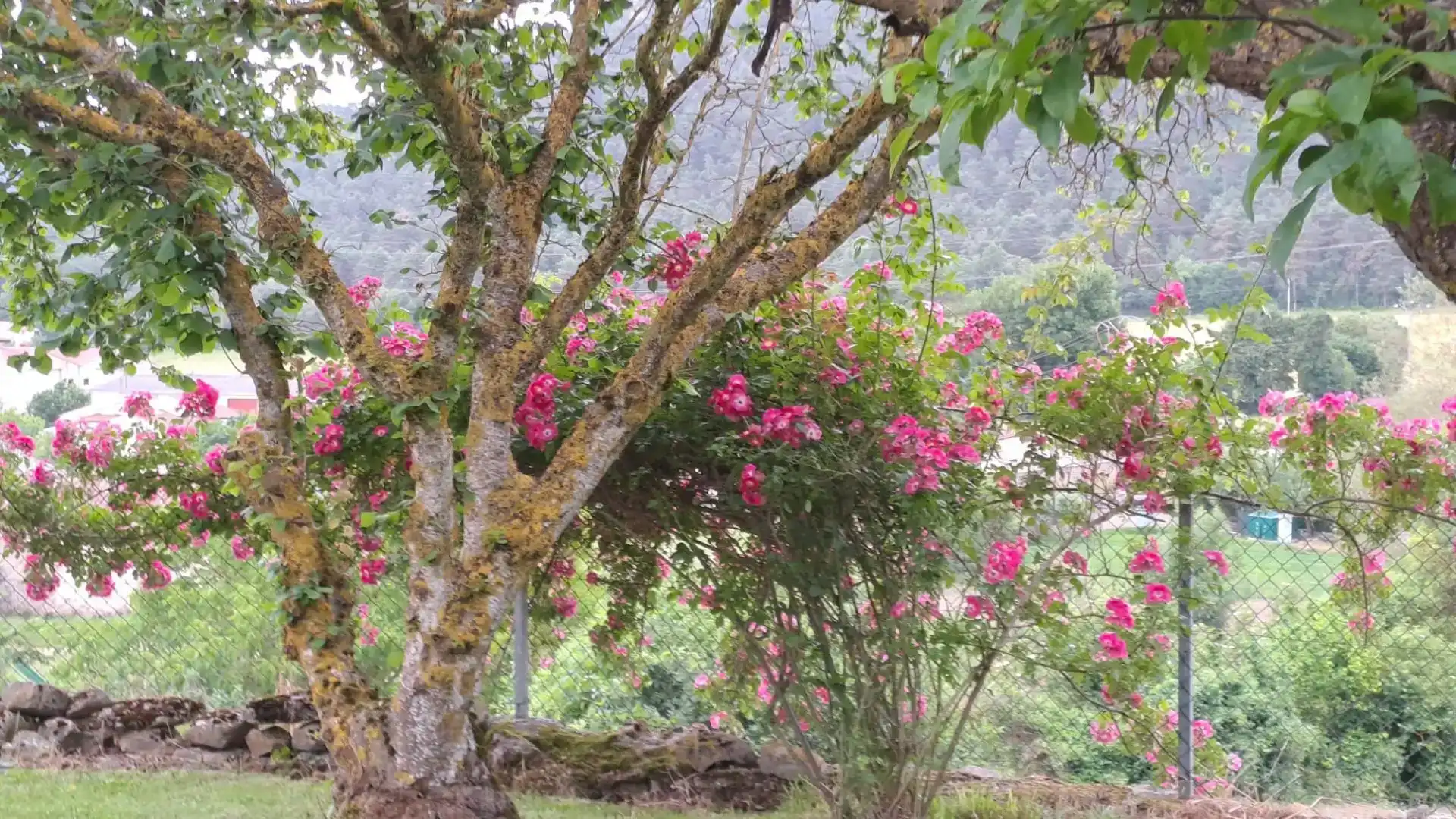 Jardín de Piso en venta en Valle de Losa con Amueblado