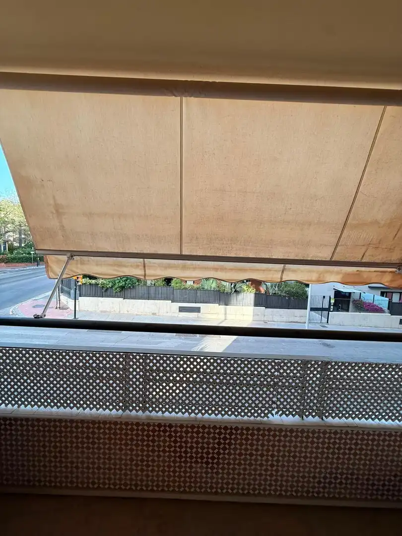 Pis amb terrassa en venda a Paseo Paseo Sancha, imagen 18