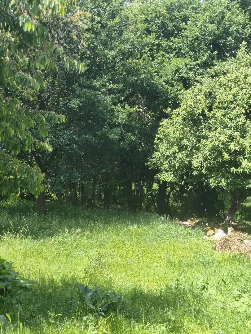 Casa o xalet en venda en Baños de Molgas