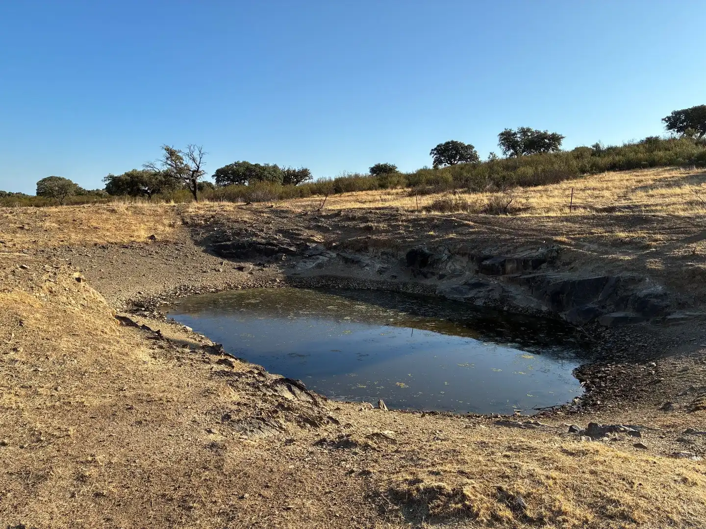Rural land for sale in Puerto de San Vicente, imagen 10