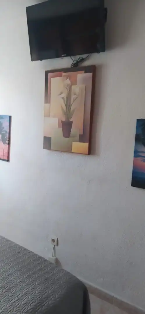 Jardí de Apartament en venda en Torrevieja amb Aire condicionat i Terrassa