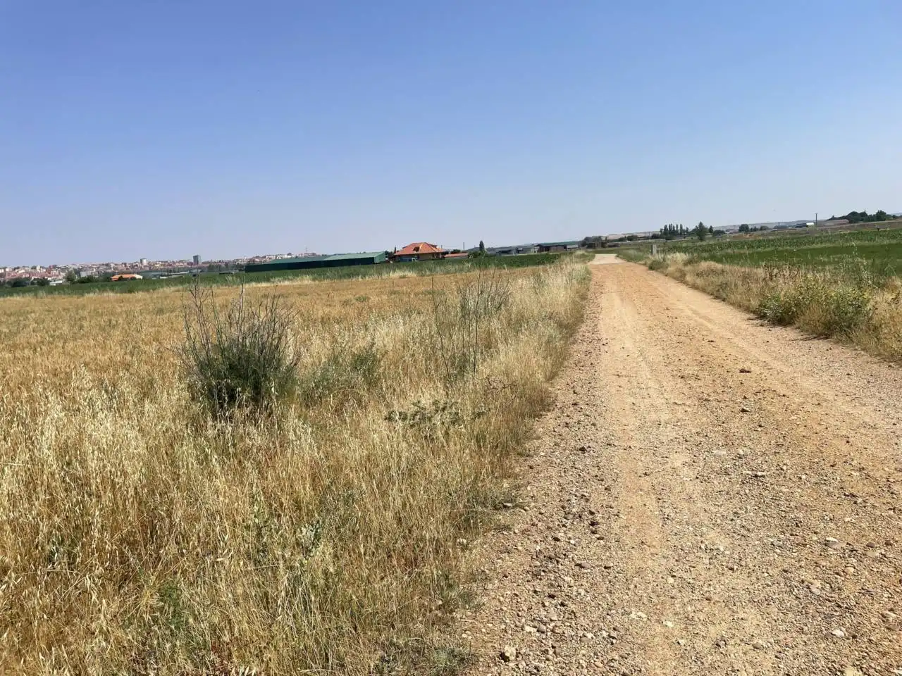Terreni e lotti in vendita a Pinilla, imagen 4