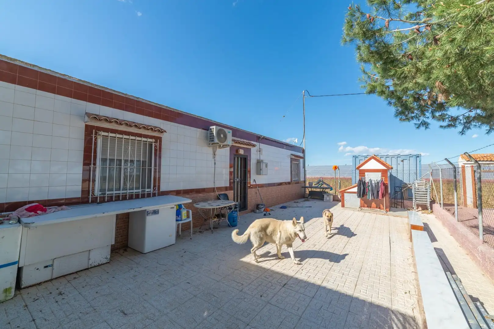 Finca rústica en venda a Balsicas